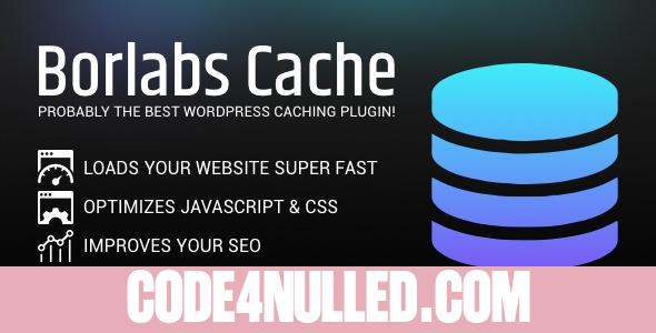 Borlabs Cache v1.6.3 - WordPress Caching Plugin