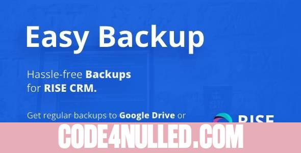 Easy Backup v1.2 - Regular backups for RISE CRM