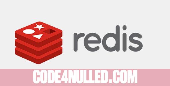 Redis Cache Pro v1.16.1