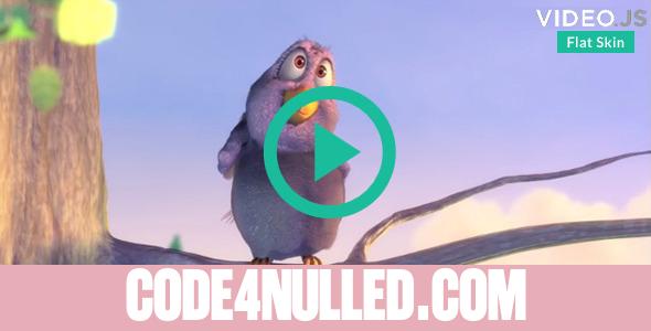 Flat Skin Retina for VideoJS 4