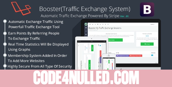 Booster Traffic Exchange System v6.0
