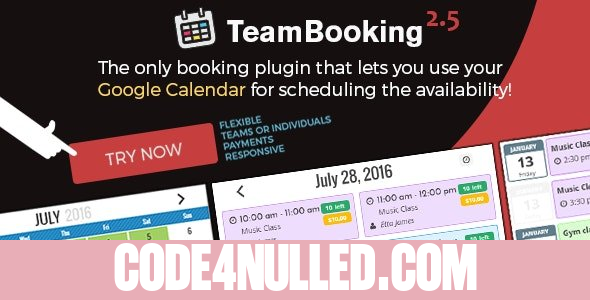 Team Booking v2.6 - WordPress booking system