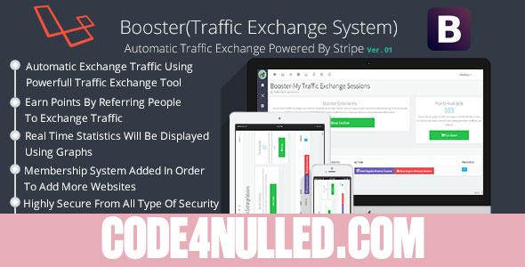 Booster Traffic Exchange System