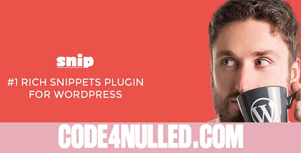 Rich Snippets WordPress Plugin v2.2.5