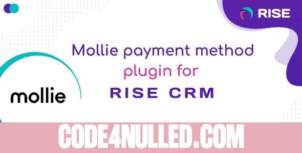 Mollie payment method for RISE CRM v1.0