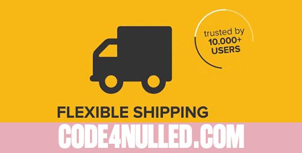 Flexible Shipping PRO WooCommerce v1.13.0