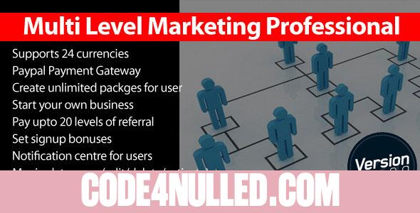 Multi Level Marketing Professional