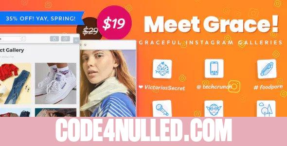 Instagram Feed Gallery - Grace for WordPress v1.1.12