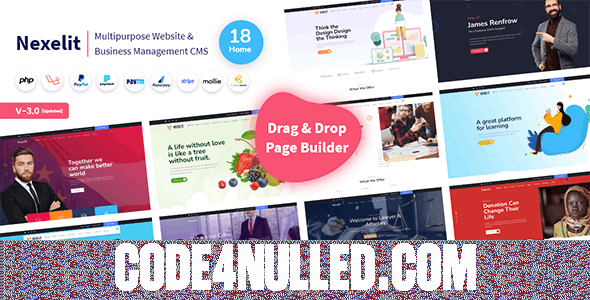 Nexelit v3.0.1 - Multipurpose Website & Business Management System CMS - nulled