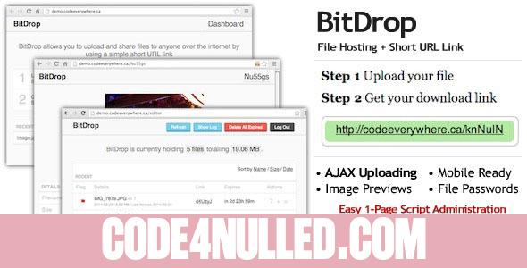 BitDrop - File Hosting with Short URL Link