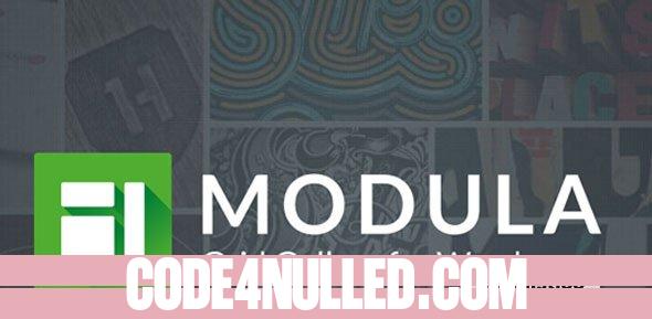 Modula Pro v2.8.7 + Addons