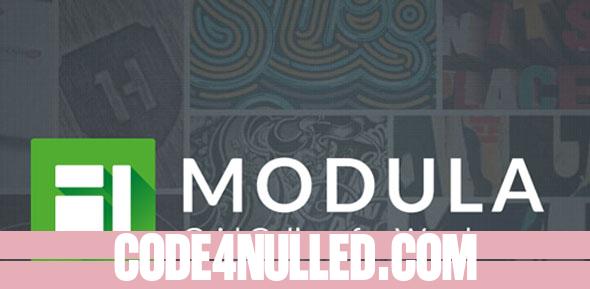 Modula Pro v2.8.9 - Best WordPress Image Gallery