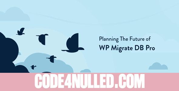 WP Migrate DB Pro v2.6.11