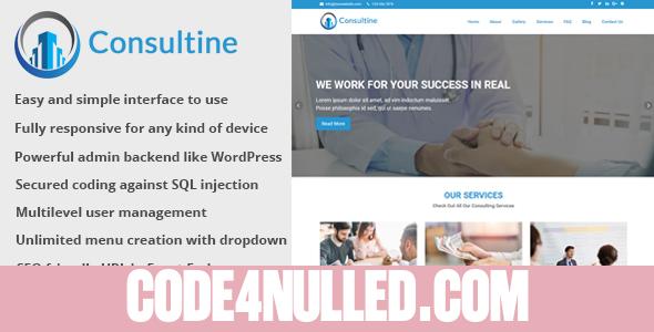Consultine v1.7 - Consulting, Business and Finance Website CMS