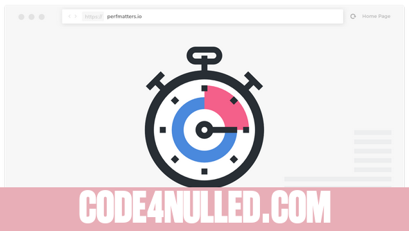 Perfmatters v1.2.5 - Lightweight Performance Plugin