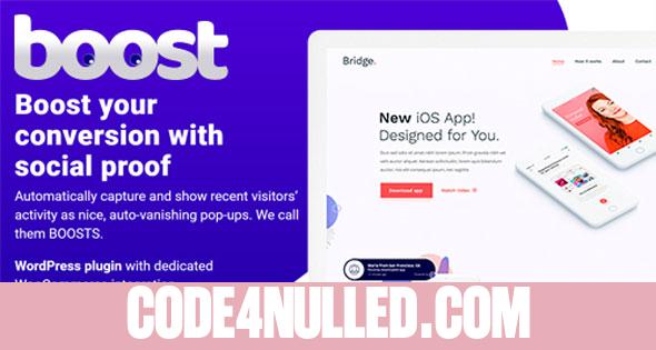 Boost v1.0.7 - WordPress Plugin