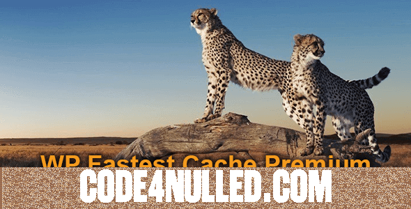 WP Fastest Cache Premium v1.6.4