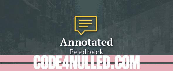 Annotated Feedback