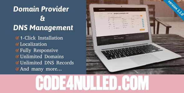 Domain Provider & DNS Management