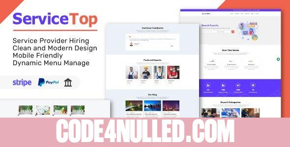 ServiceTop v1.0 - Professional Service Selling Marketplace