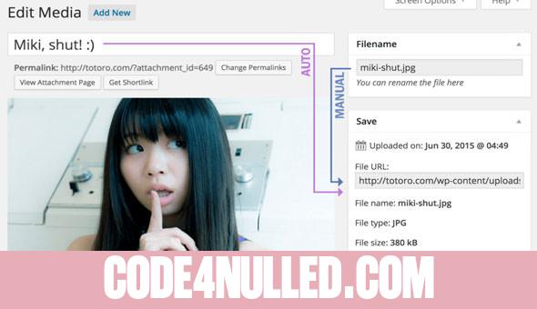 Media File Renamer Pro v6.0.6