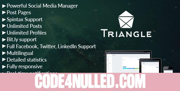 Triangle - Facebook, Twitter, LinkedIn Social Media Manager