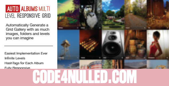Auto Photo Albums – Multi Level Image Grid